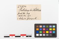 Etiketten zu Glasringperle (NHMW-PRAE-023874)
